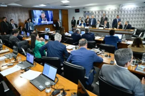 Mulher depõe em sala de audiência do Congresso Nacional durante CPMI