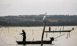 Pescador artesanal, com rede, à beira de um rio, simbolizando o período de defeso e o recebimento do seguro-defeso.
