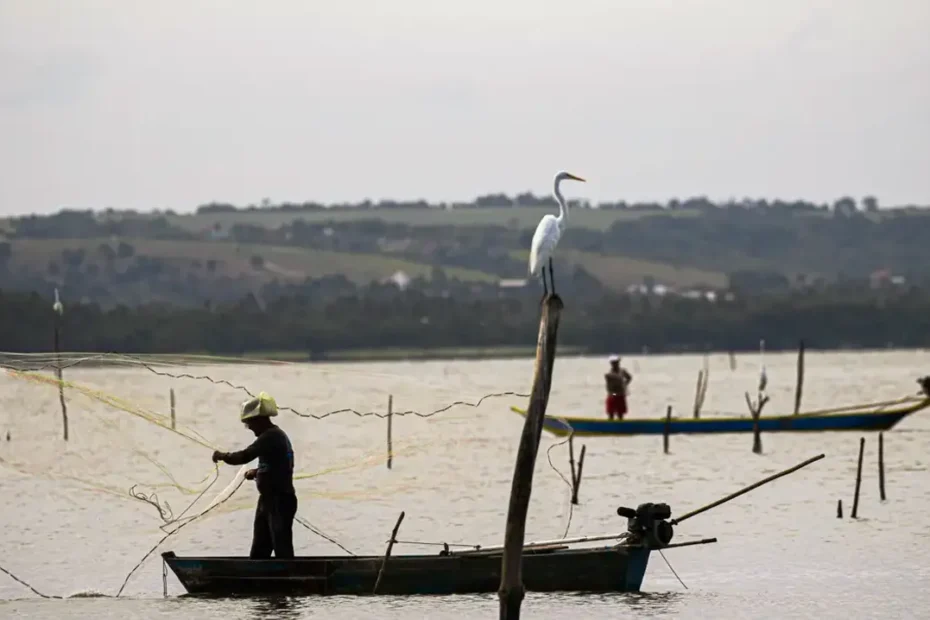 Pescador artesanal, com rede, à beira de um rio, simbolizando o período de defeso e o recebimento do seguro-defeso.