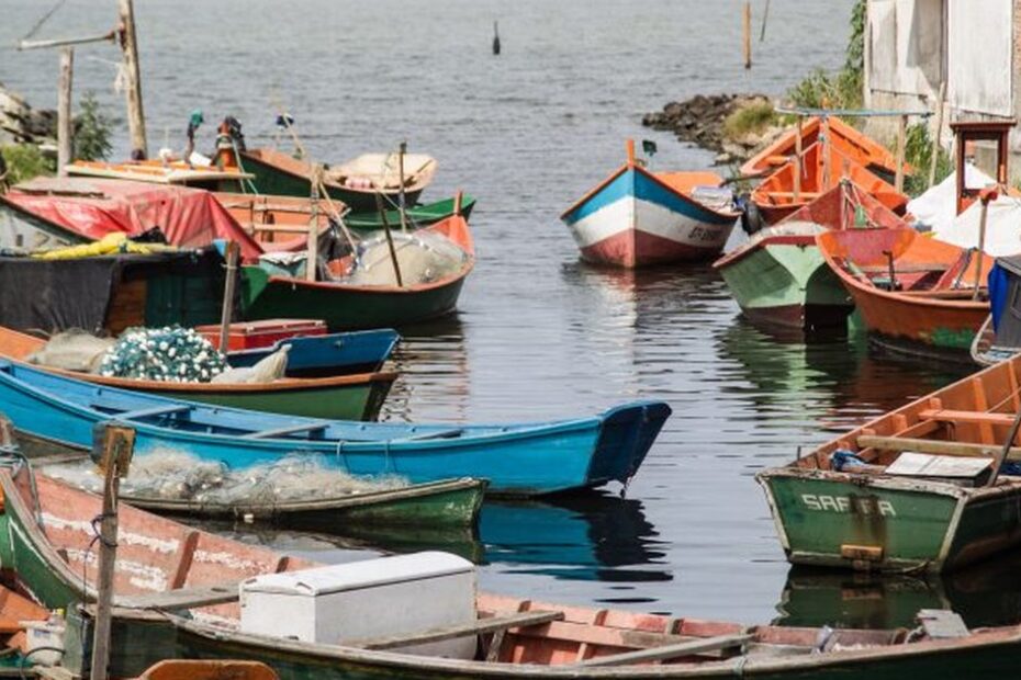 Pescadores artesanais reunidos em vila de pescadores ao amanhecer.