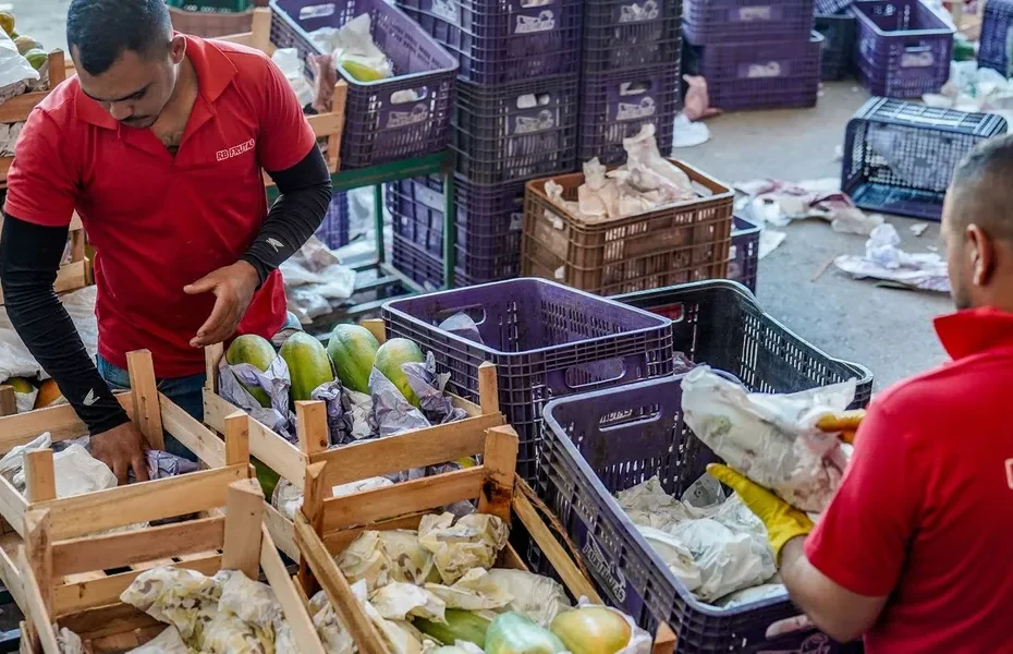 Mão de agricultor familiar segurando vegetais orgânicos, simbolizando o benefício do crédito rural e a colheita da safra.