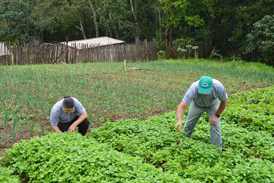 Agricultor familiar na Amazônia Legal com sorriso de alívio, simbolizando a renegociação de dívidas e acesso a crédito pelo Desenrola Rural.