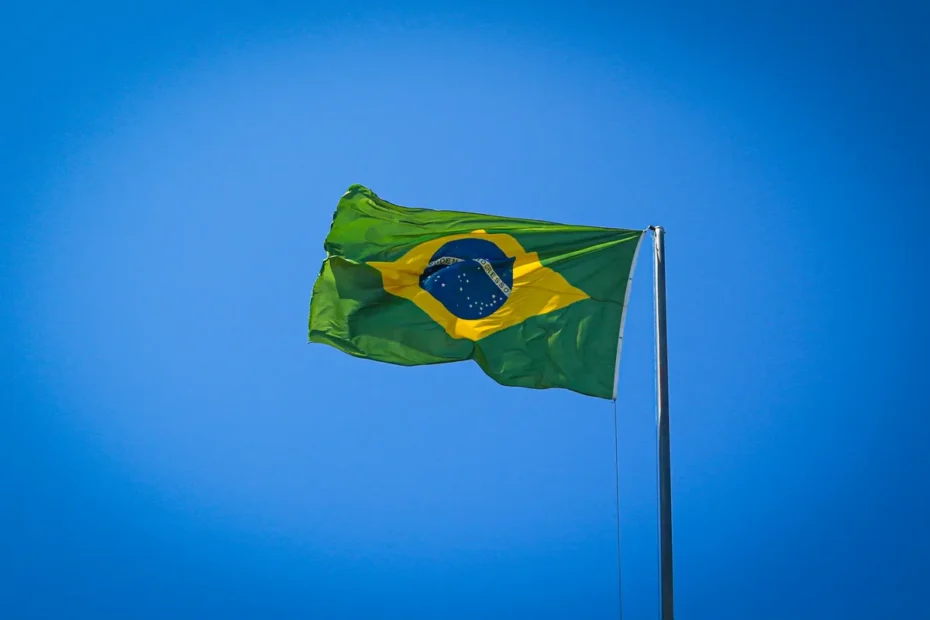 Pessoa naturalizada brasileira consultando informações sobre o BPC no site ou aplicativo do INSS.