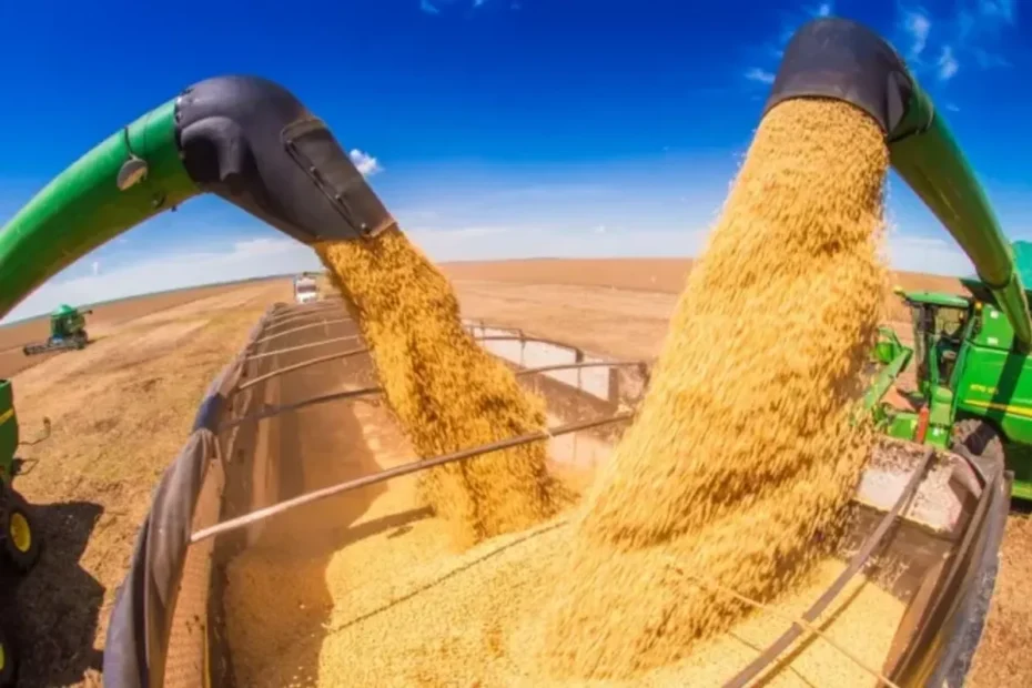 Agricultores familiares sorrindo em lavoura, simbolizando o acesso a novo crédito rural com juros menores e maior investimento.