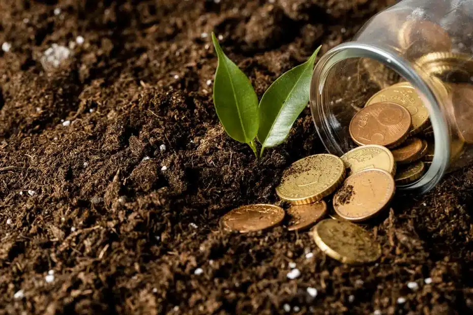 Mulher agricultora e empresária beneficiadas por crédito sustentável do Sicredi